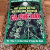 HẠT GIỐNG CÀ PHÊ DÂY