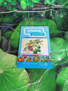 Hạt Giống Cây Bông Gòn