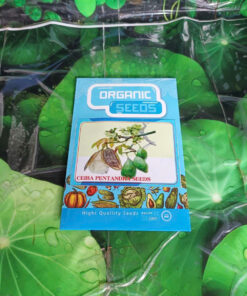 Hạt Giống Cây Bông Gòn