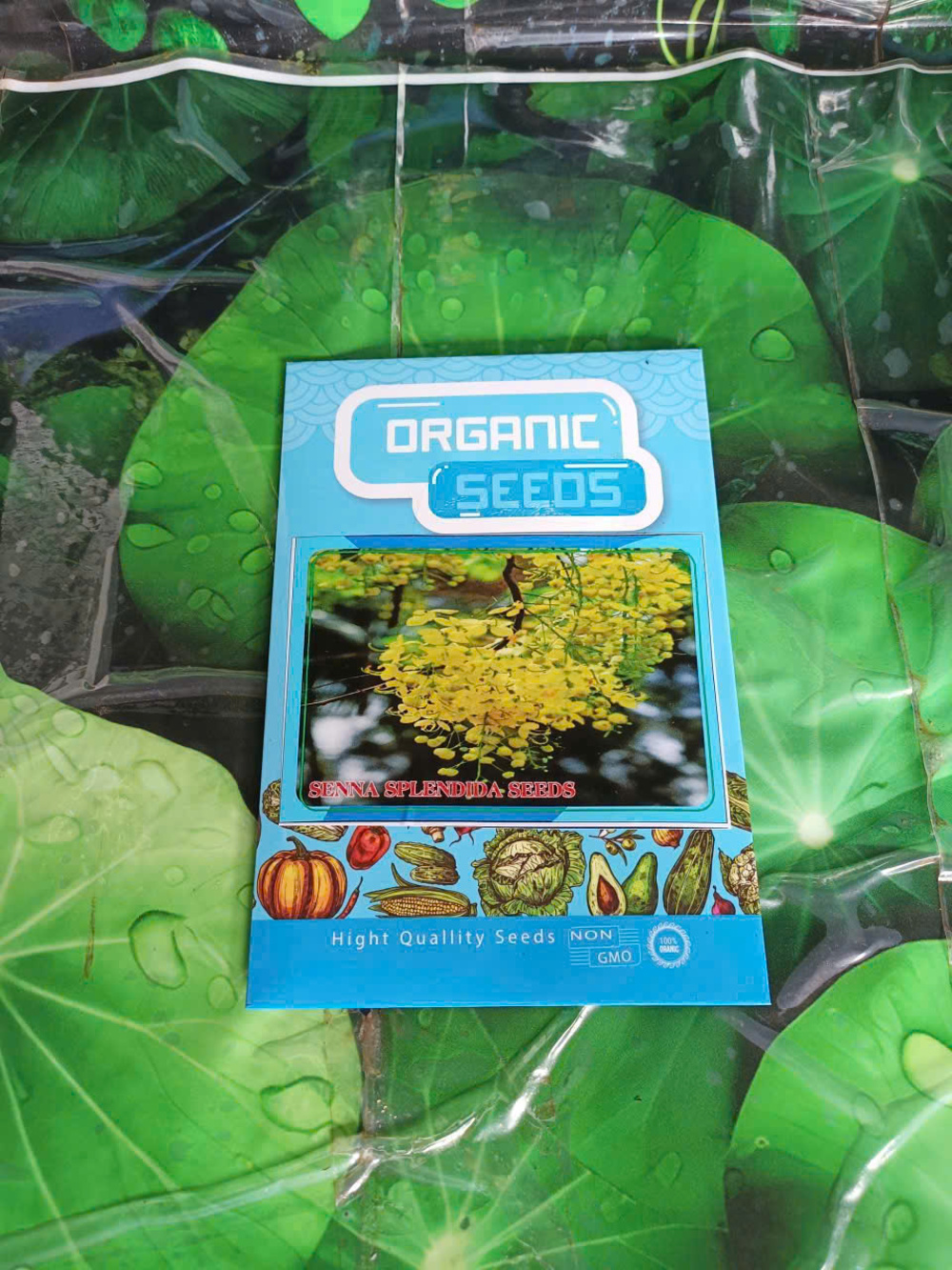 Hạt Giống Cây Muồng Vàng