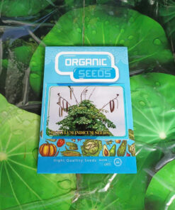 Hạt Giống Cây Núc Nác