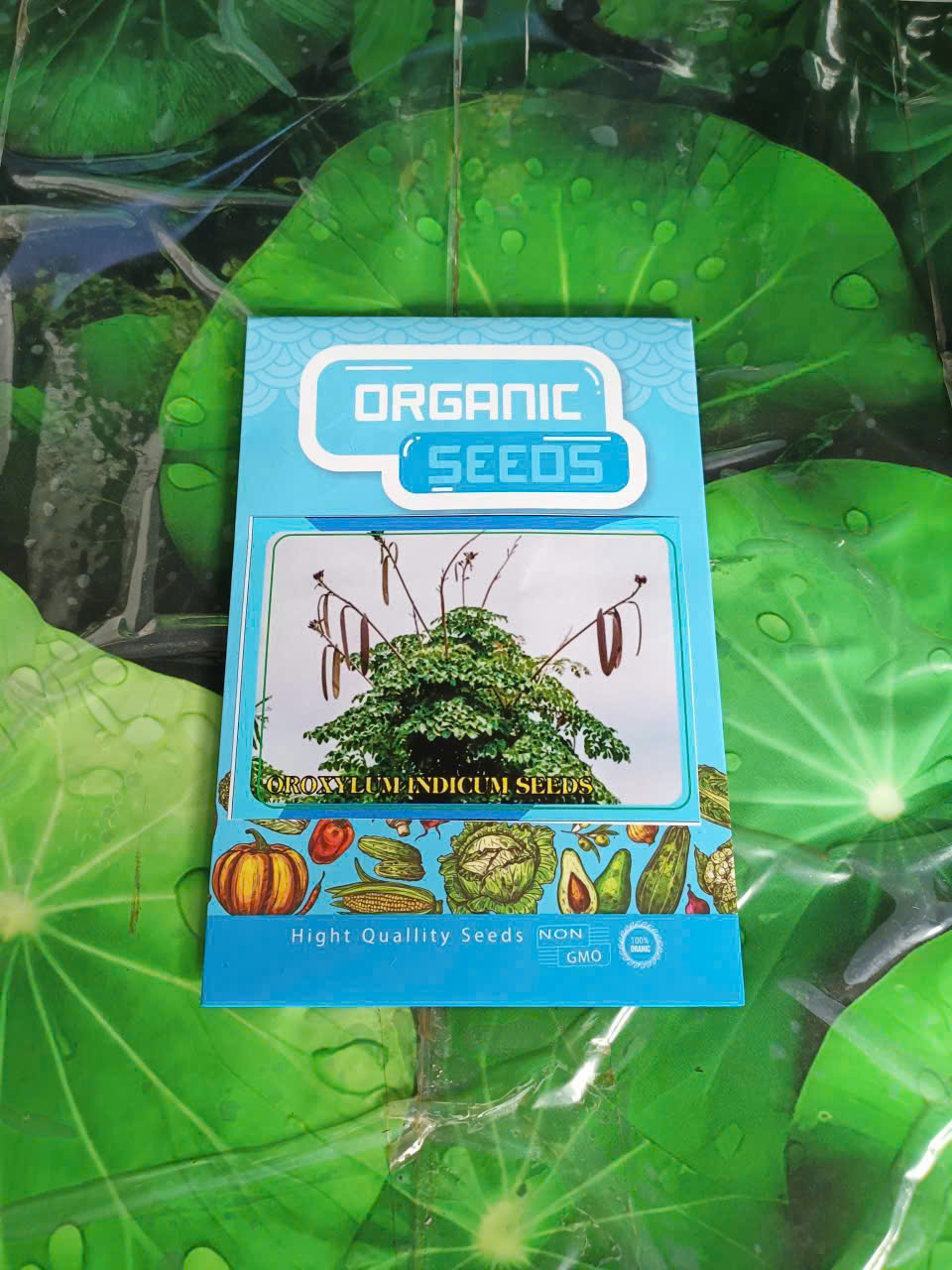 Hạt Giống Cây Núc Nác