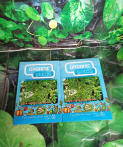 Hạt Giống Đu Đủ Đực