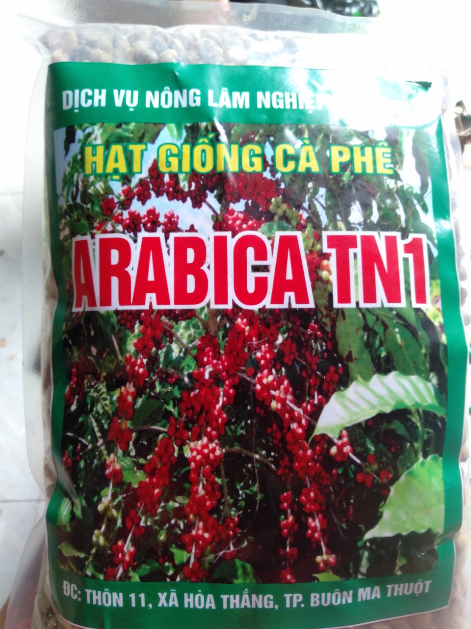 Hạt giống cà phê Arabica